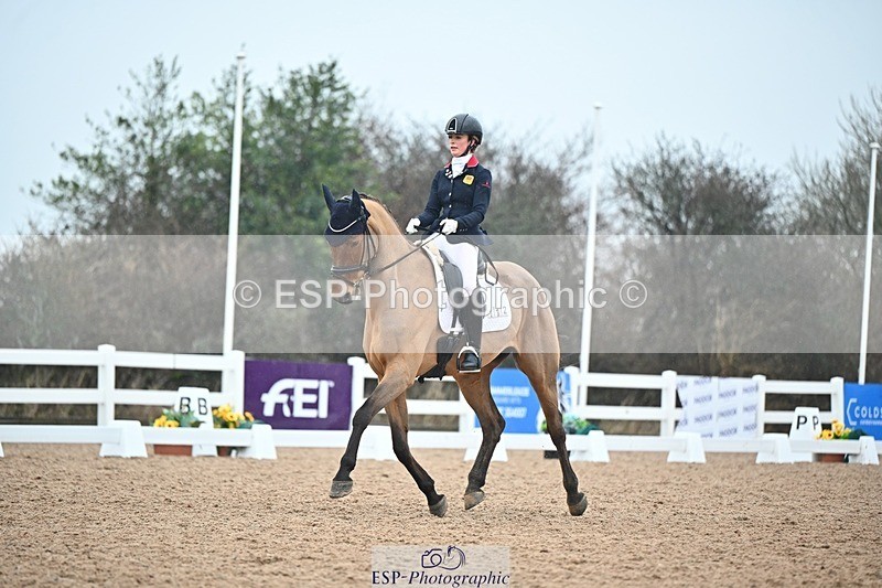 250214-132343-01894 - 112-Ella.Glennon-Skovsbogaard.lord.franklin