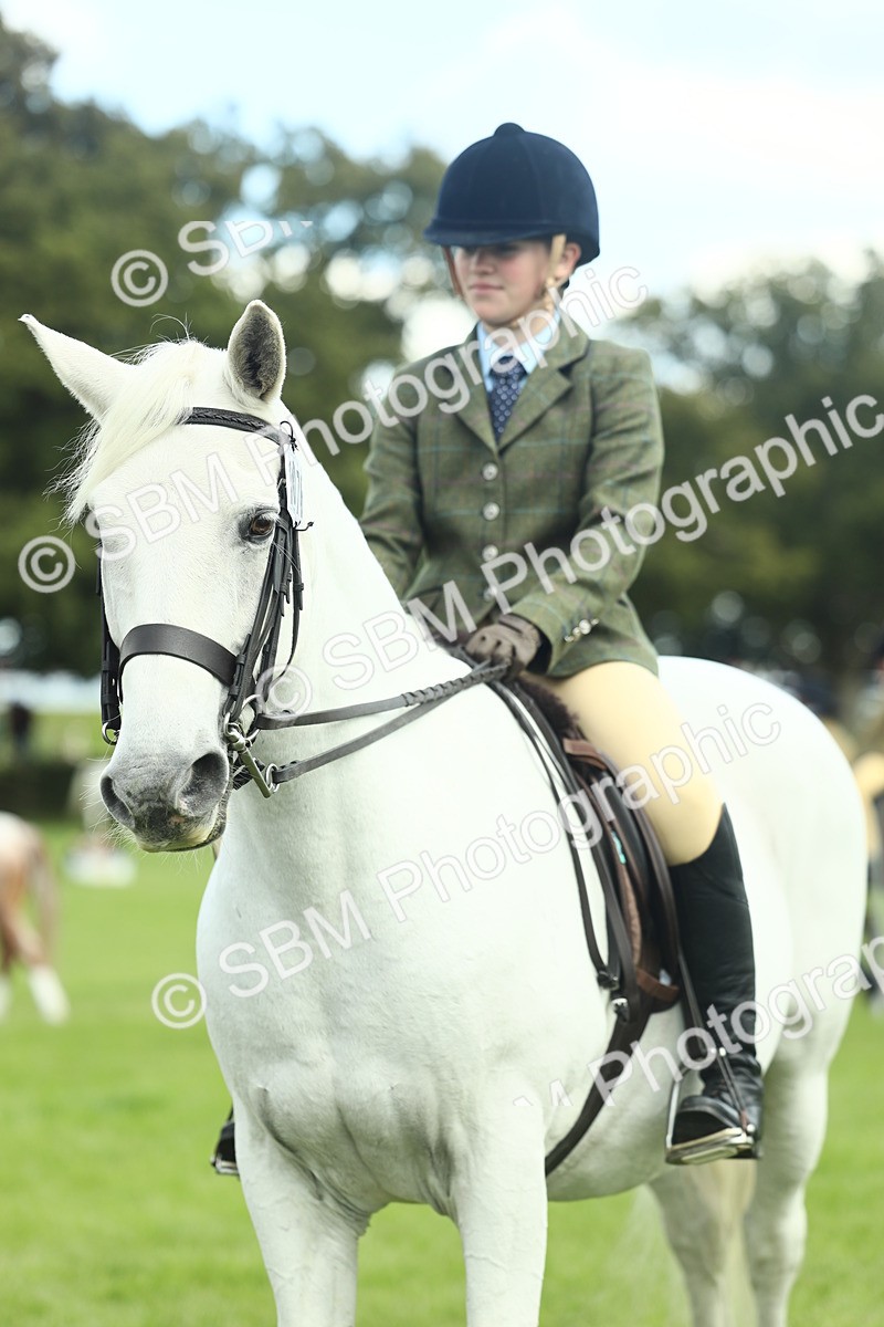 SBM_42220 - S29 - Novice & Newcomers Working Hunter Pony