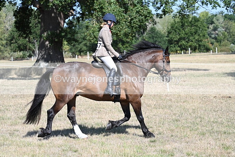 WJ7_3943 - Class 9 Mountain & Moorland Ridden