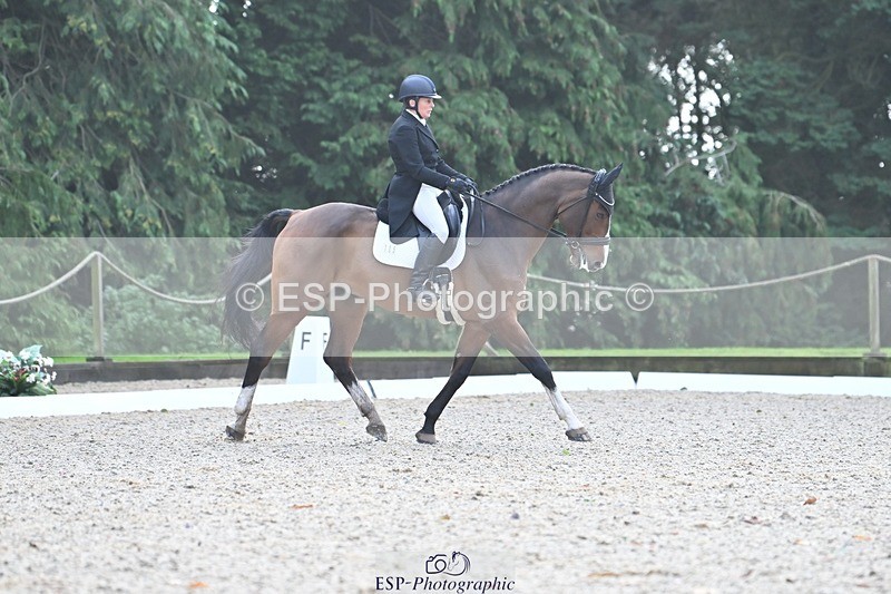 231019-110240-02027 - 105-BRIGHT.KNIGHT.III-Janet.Clarke-DR