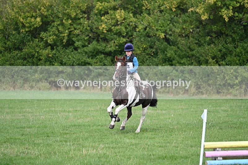 WJ7_8401 - 60cm Pairs