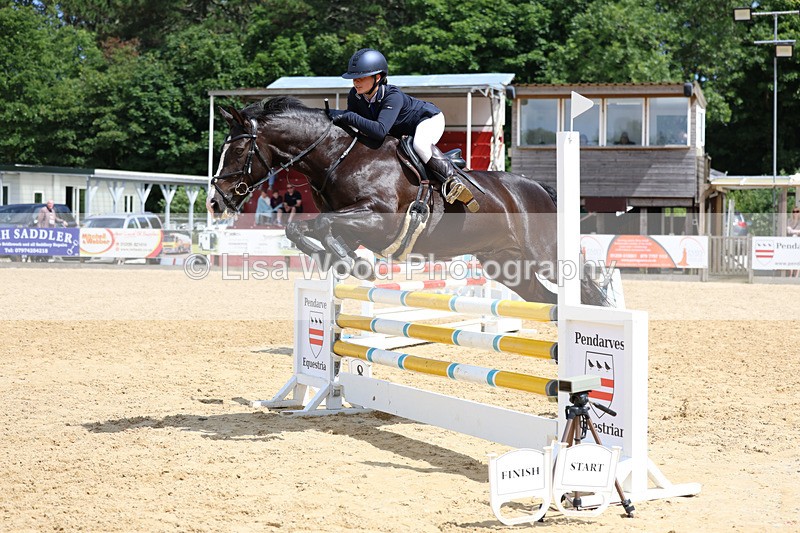 3E7A3146 - Class 4: Senior British Novice/90cm open