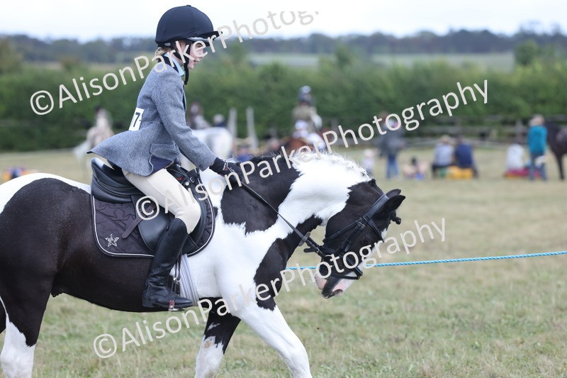 20250831-4201 - Class 20 - Ridden Coloured