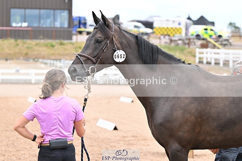 250716-140208-00865 - Trot Up 1.30 to 2.30