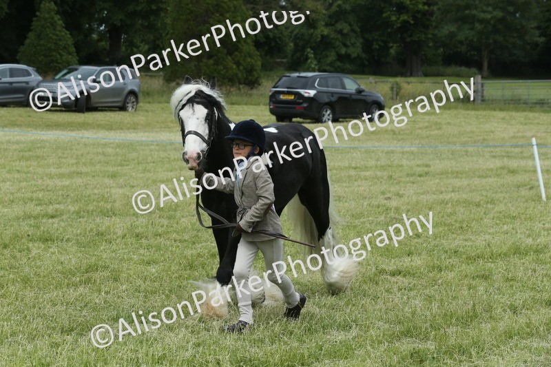 20260614-4276 - Class 18 - Best Junior Handler