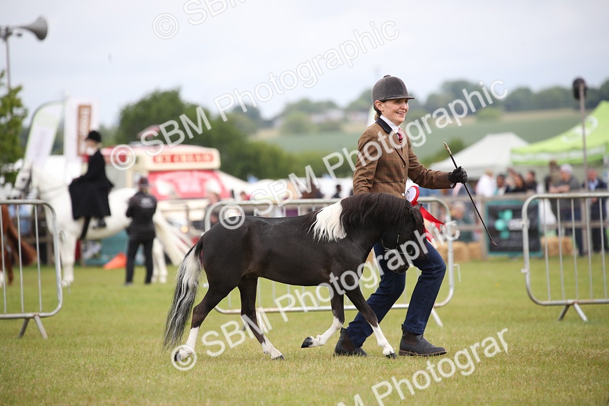 SBM_03584 - Class 23-25 - British Miniature Horse of the Year