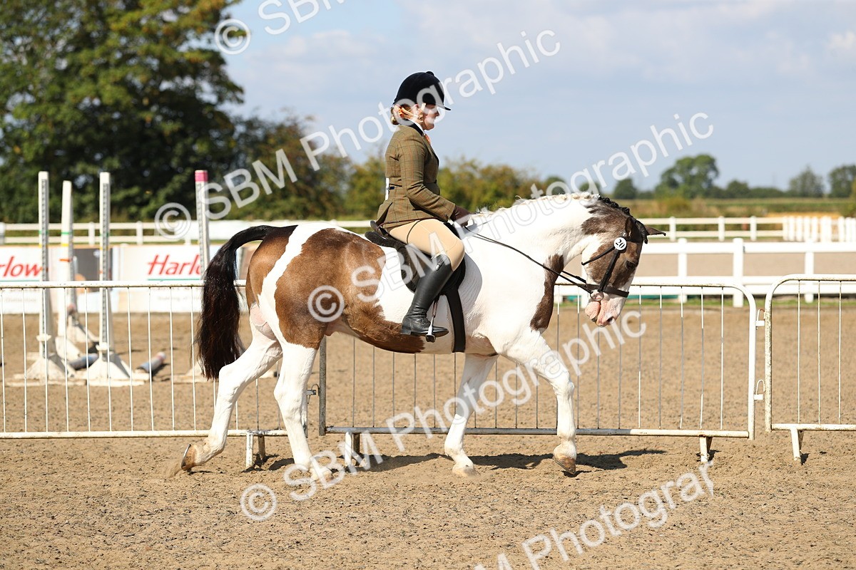 SBM_03098 - Class 44 Riding Club Horse/ Pony