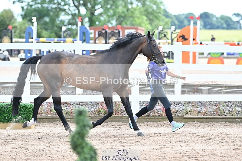240717A-144033-02188 - Trot Up 2pm to 3pm - This folder is not in time order