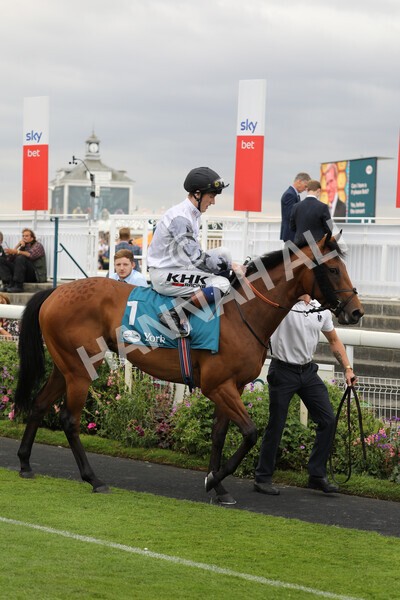 yr23072022r7-7 - Race 7 5.35pm Sky Bet Paying Extra Places Stakes
