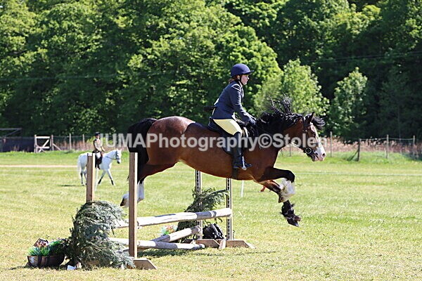 IMG_4048 - Working Hunter