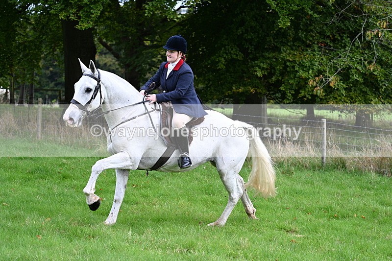 WJ7_4707 - Camera 1 Line 3