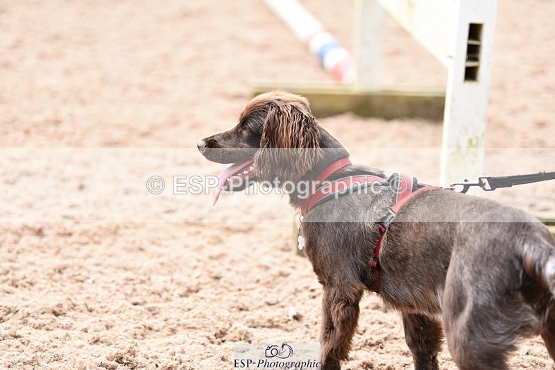 240518A-113716-00789 - Cls 1 Cutest Puppy