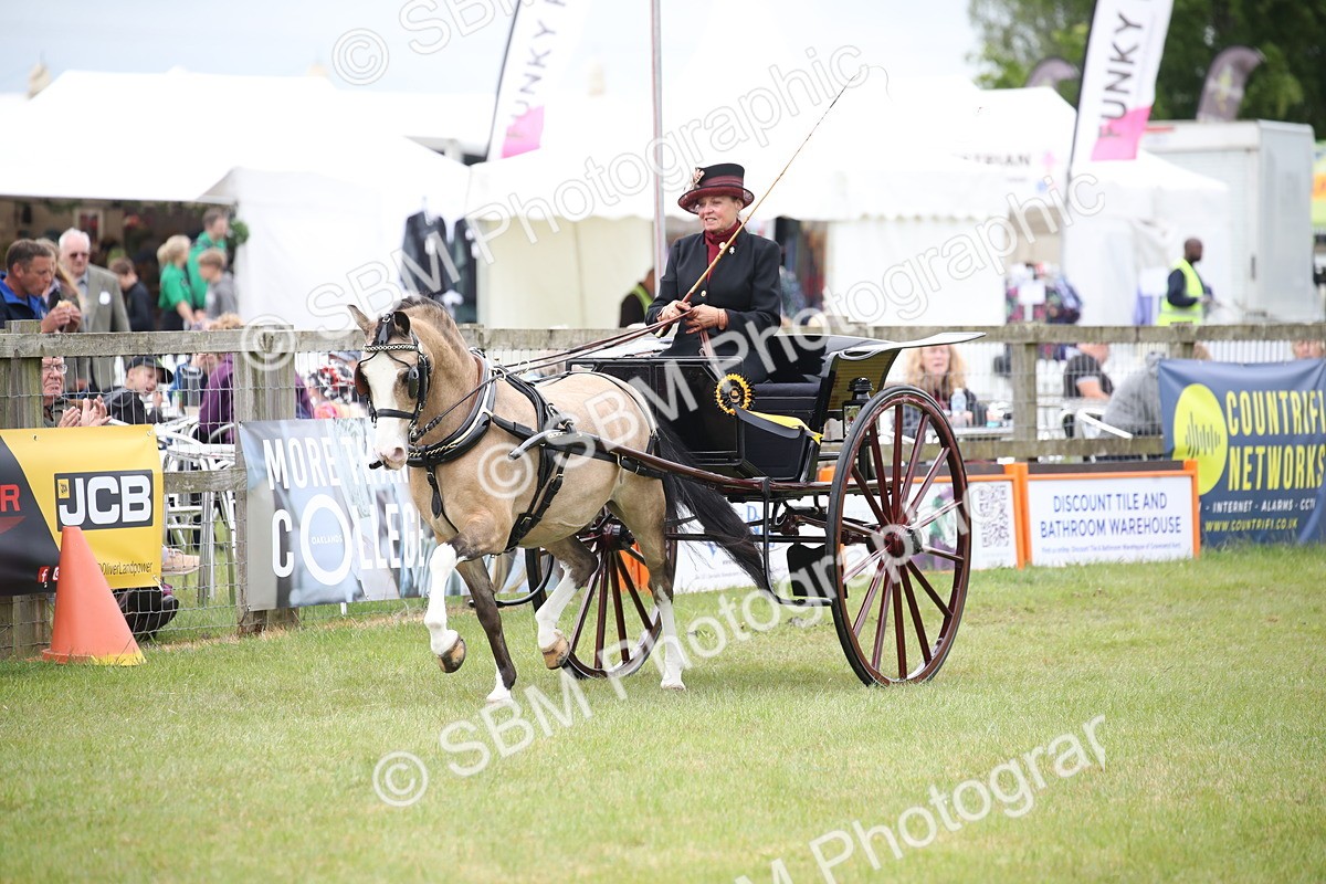 SBM_05945 - Class 12-15 - HOYS Private Driving