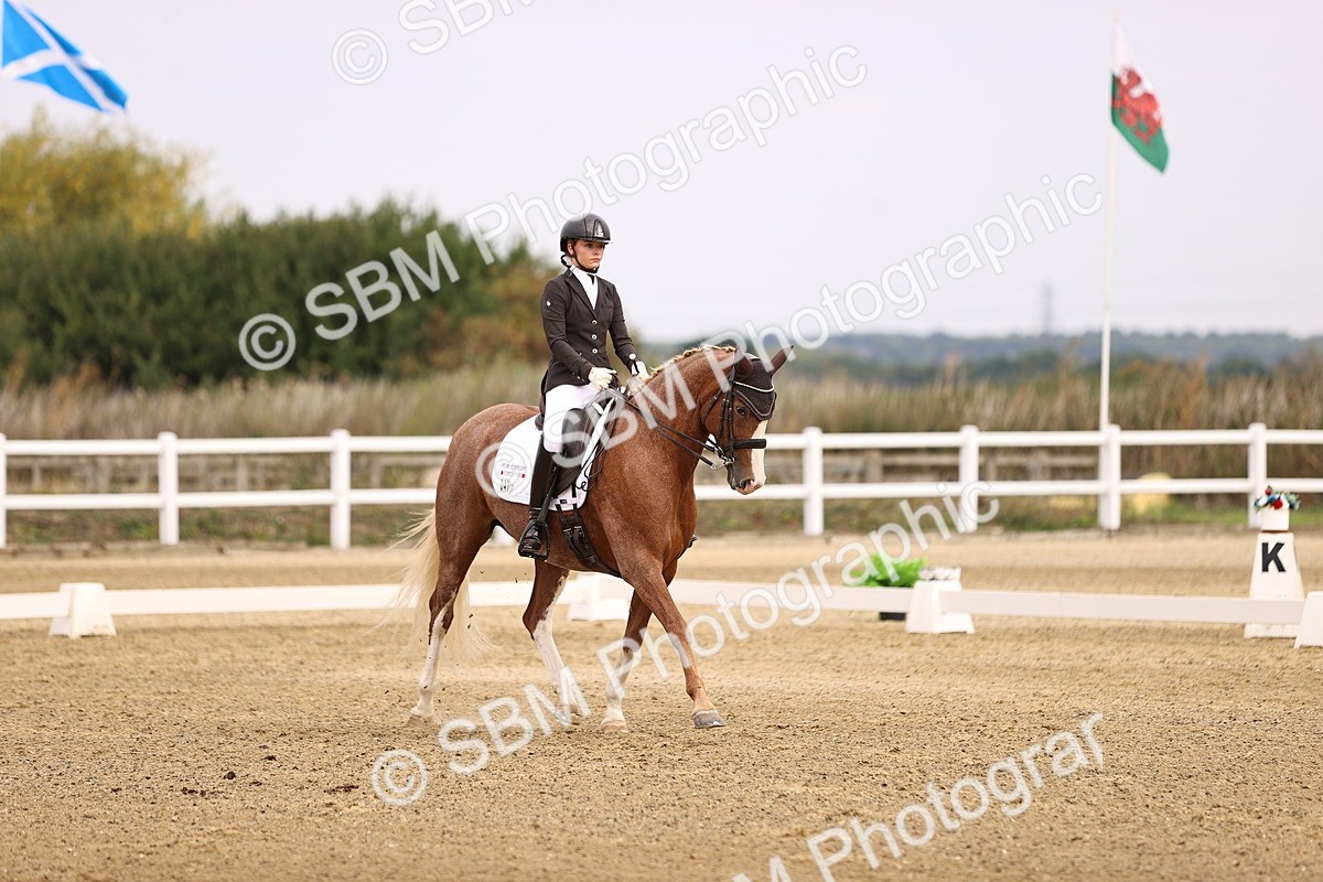 SBM_011521 - Class 1 - Medium 5