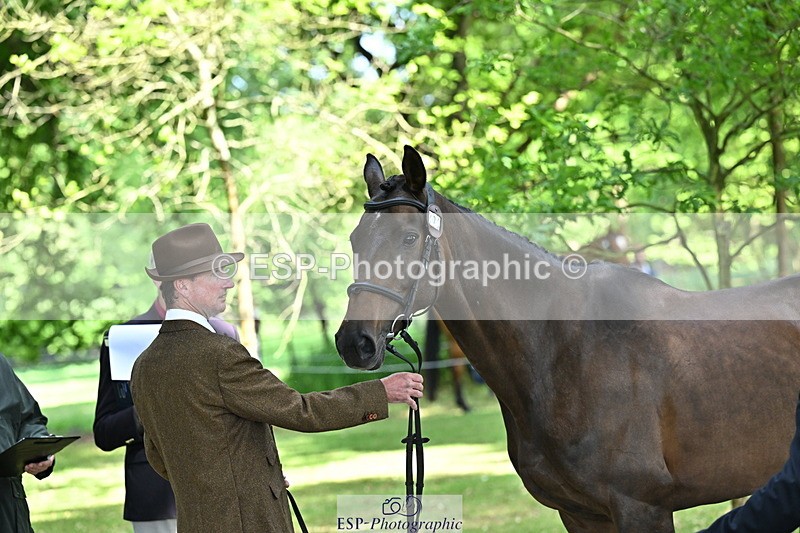 250521A-155103-00800 - B-373-Ben.Lee.Liles-FINCH.FANCY