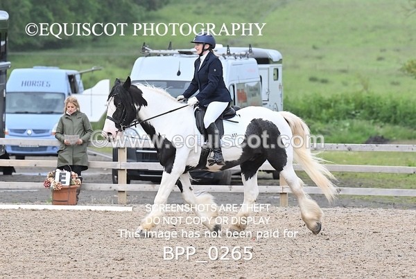BPP_0265 - 31 E WYLLIE