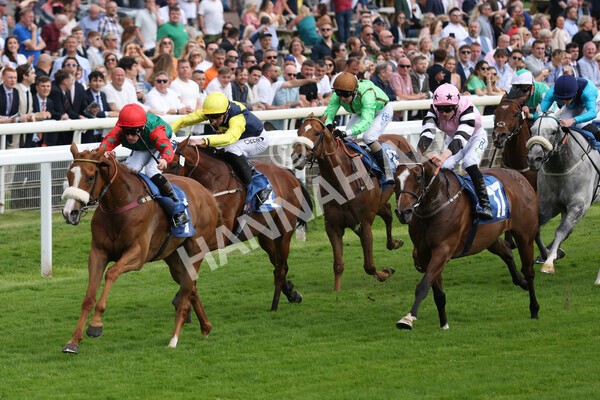 yr10062022r5-19 - Race 5 4.05pm Irish Thoroughbred Marketing Stakes