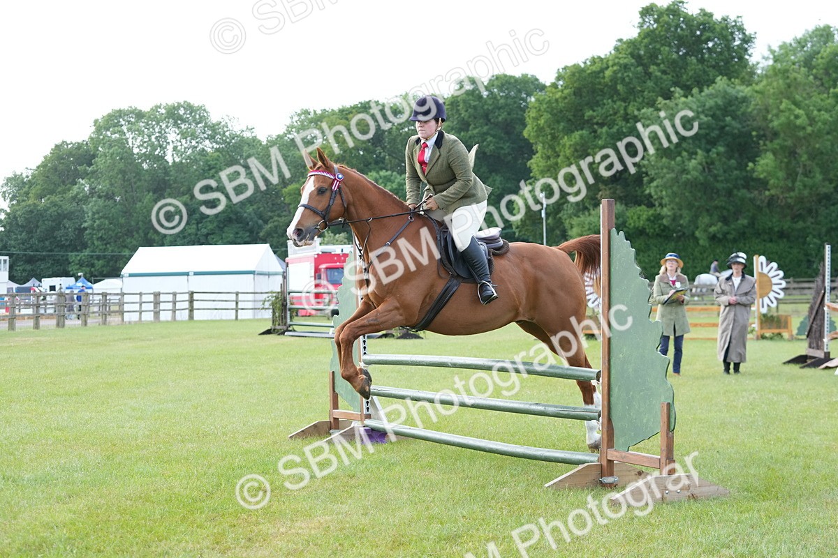 SBM_10470 - Class 97-98 - LIHS BSHA Rising Star Working Show Horse Hunter