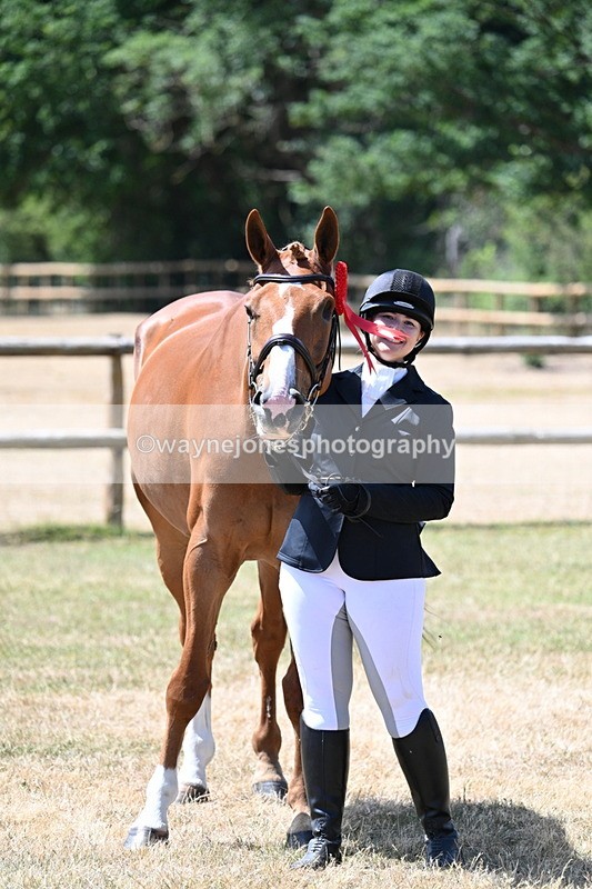 WJ7_2449 - Class 5a Most Handsome Gelding in hand (above 14.2hh)