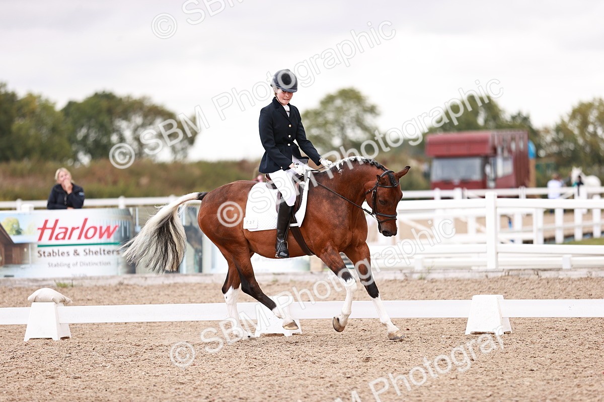 SBM_04015 - Class 36 - Prelim 5