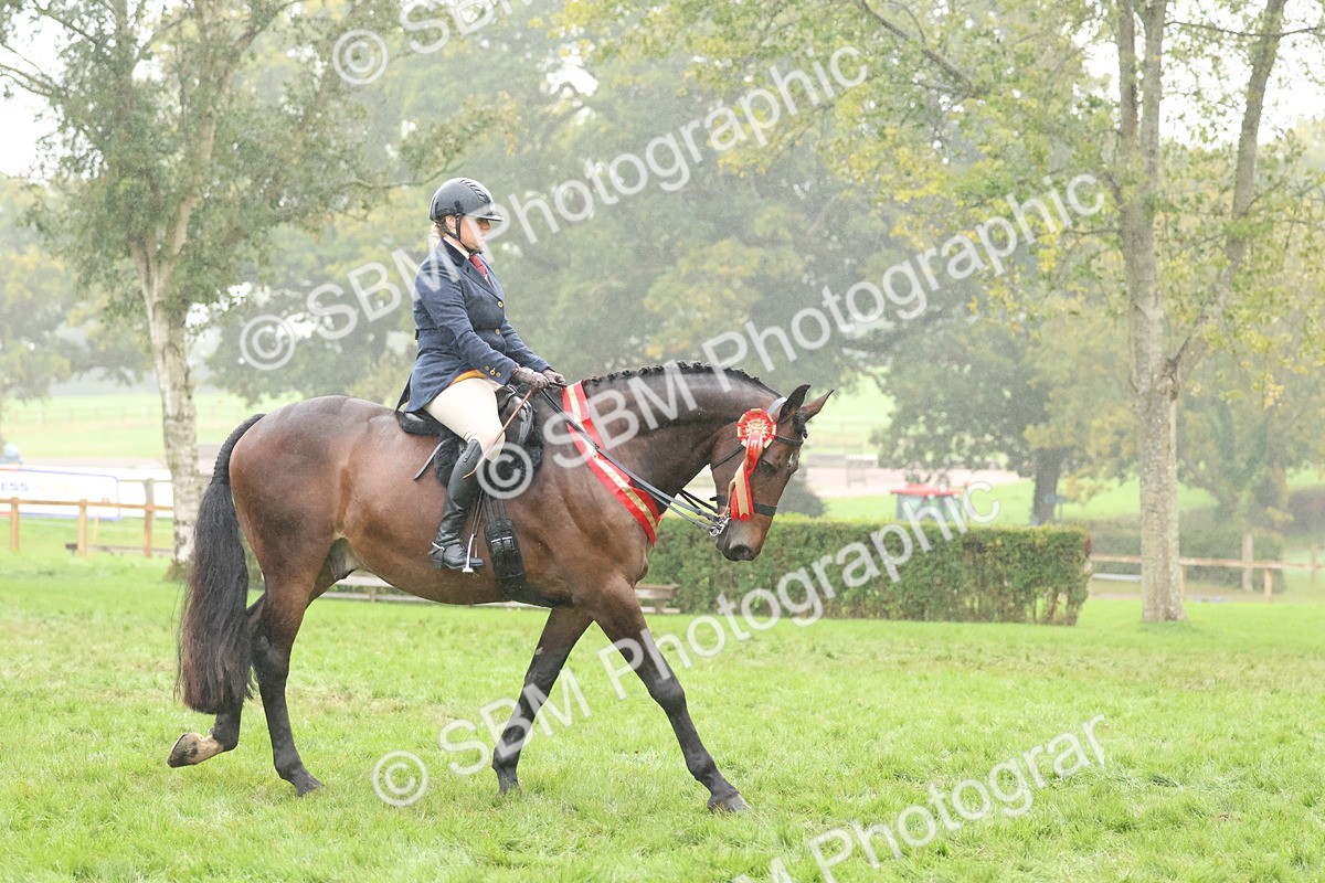 SBM_73182 - Super Supreme Championship(Sun)