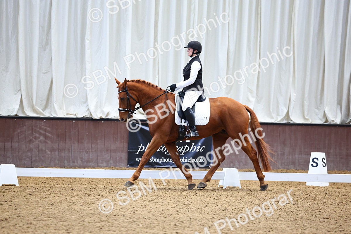 SBM_003742 - Class 14-15 - Novice 5 Novice 6