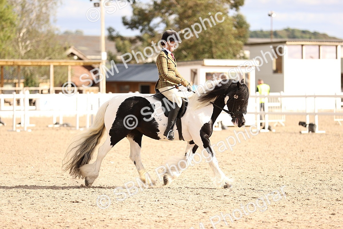 SBM_18248 - Class 423 - Equitation (best rider) Adult