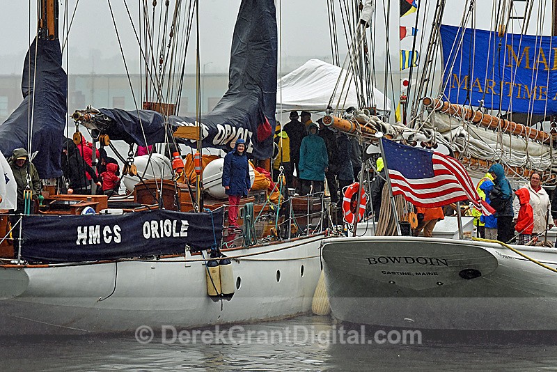 Tall Ships Rendezvous 2017 Saint John New Brunswick Canada - Tall Ships