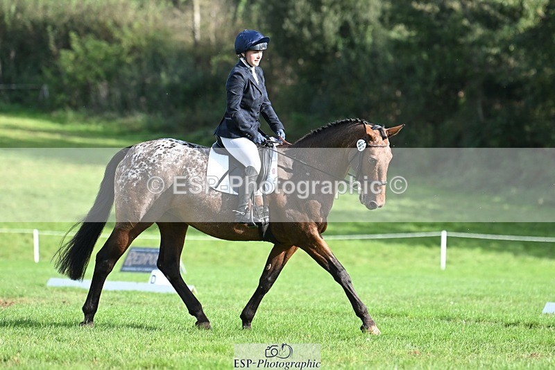 231020-115702-07952 - 482-ODDSPOT.VITAL.ELEMENT-Danielle.Davies-DR