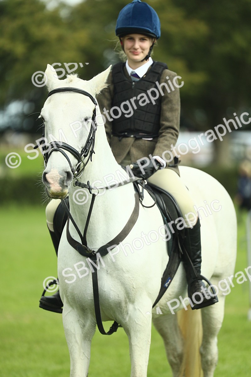 SBM_44792 - S31 - Working Hunter Pony