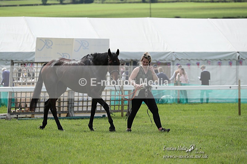 PtP 070523 253 - Kimblewick Races Coronation Meet  Kingston Blount 07/05/23