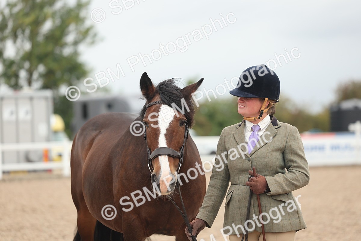 SBM_19864 - Class 318 - IH Part Bred Horse-Pony