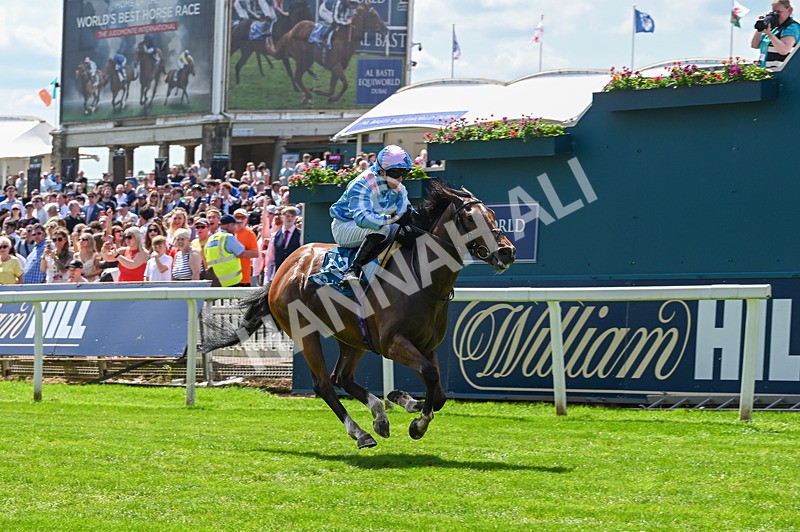 230526-Race 1-Lord Roxby-5779 - Race 1 13.30pm William Hill Keep Your Raceday Positive Handicap