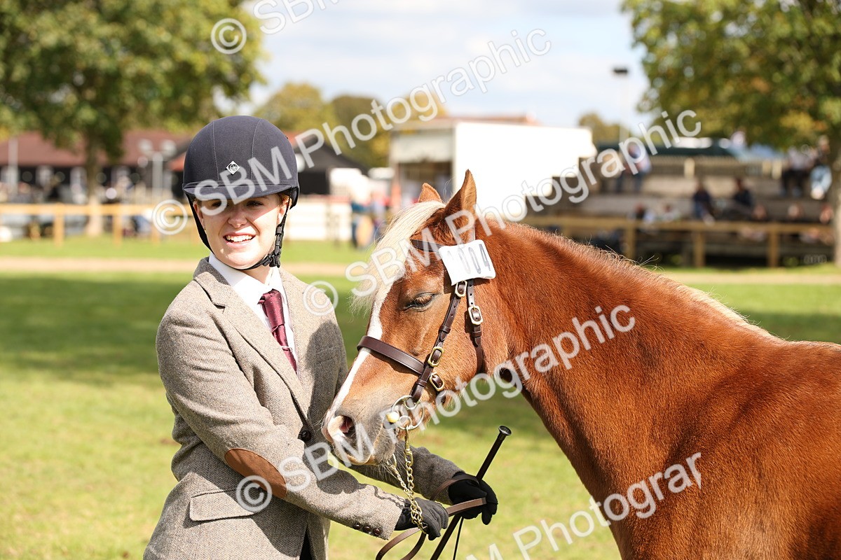 SBM_44489 - S24 - Young Veteran in hand