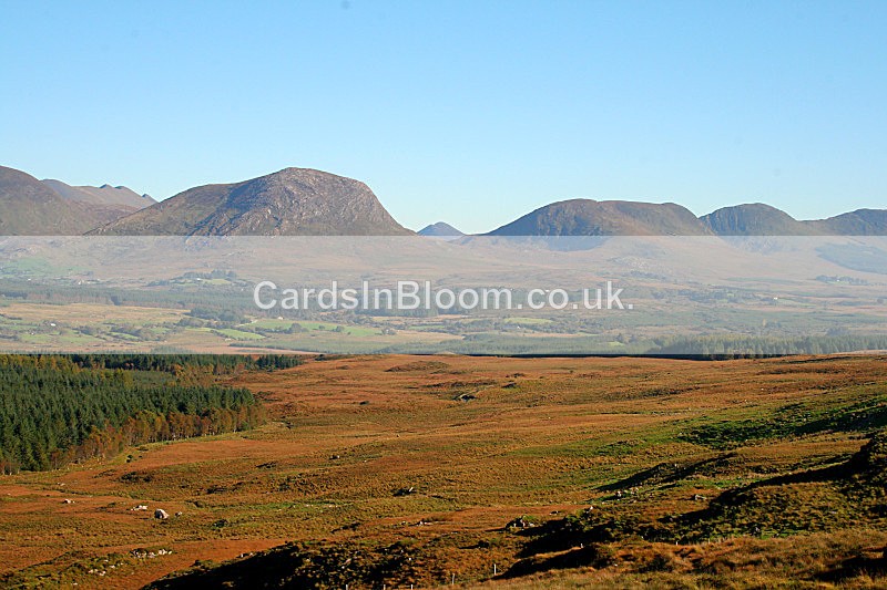 Autumn colours Co Kerry - EARTH, SEA & SKY- Woodlands, Rivers, Lakes, Mountains and Skies