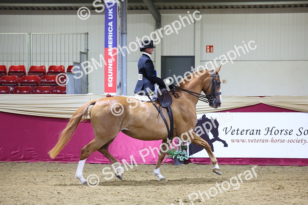 0B8A4261 - Class L Side Saddle Champ