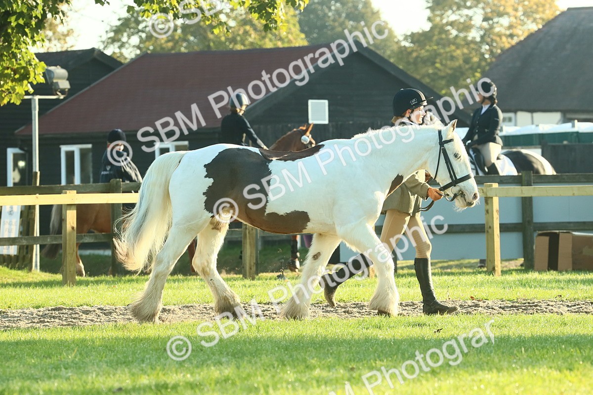 SBM_57330 - S37 - Starters In Hand Showing