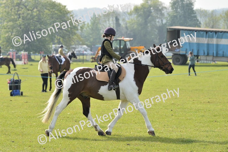 20260426-0905 - Class 18 - Novice Showing
