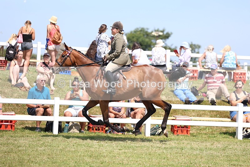 3E7A9370 - Class 12: Open Racehorse to Show Horse