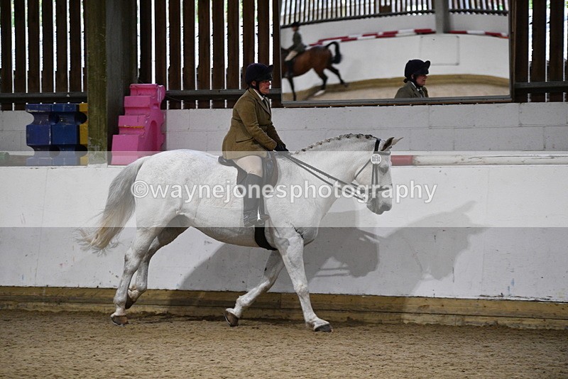 WJ5_8832 - Class 15 Ridden Show Horse