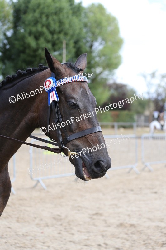 20260831-2647 - Class 15 - Ridden Retraining of Racehorses