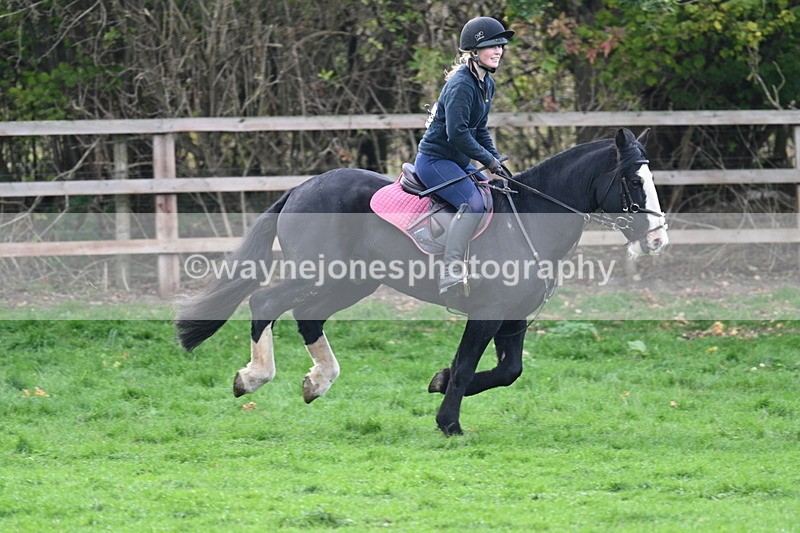 WJ7_0895 - Time 14:27 to 15:11