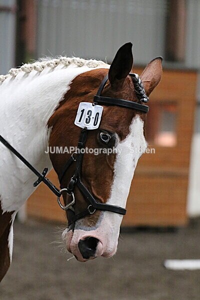SIAL4522 - CAbin Dressage 5th july 2025