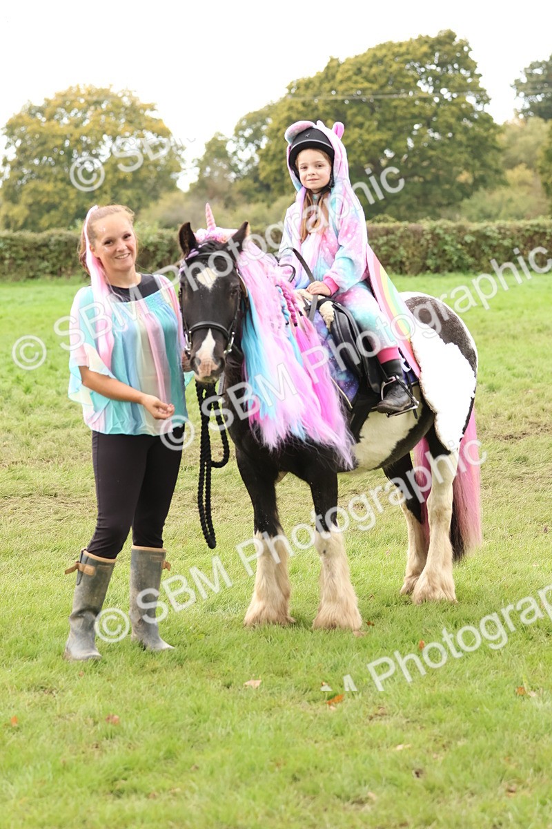 SBM_62177 - S37b - Best Unicorn