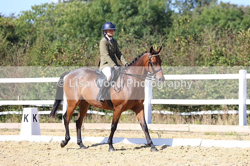 3E7A5662 - Class 10: Riding Horse