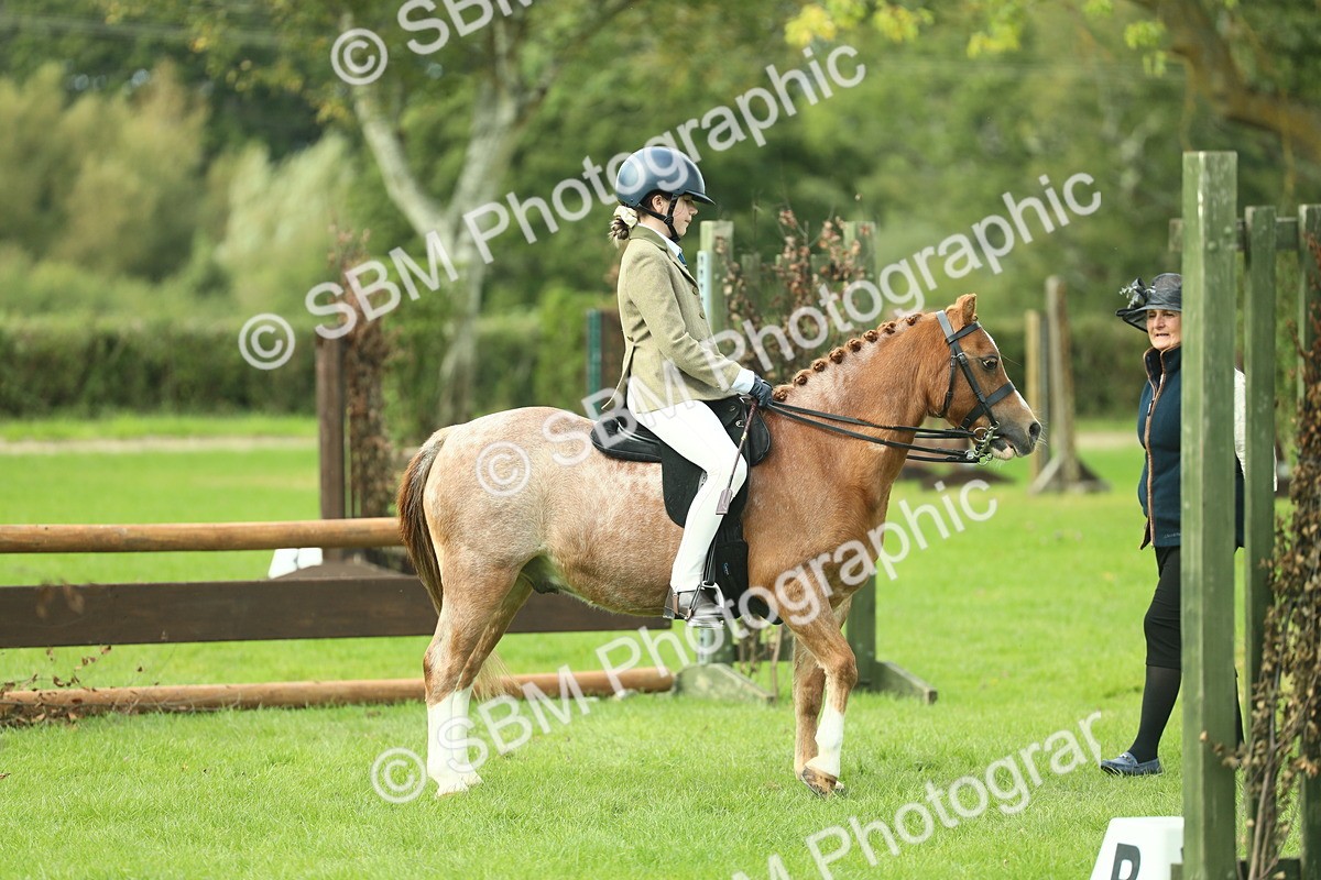 SBM_44657 - S31 - Working Hunter Pony