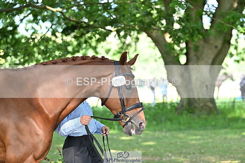 250521A-164732-01334 - C-259-Jasmine.Holmes-MSH.BONANZA