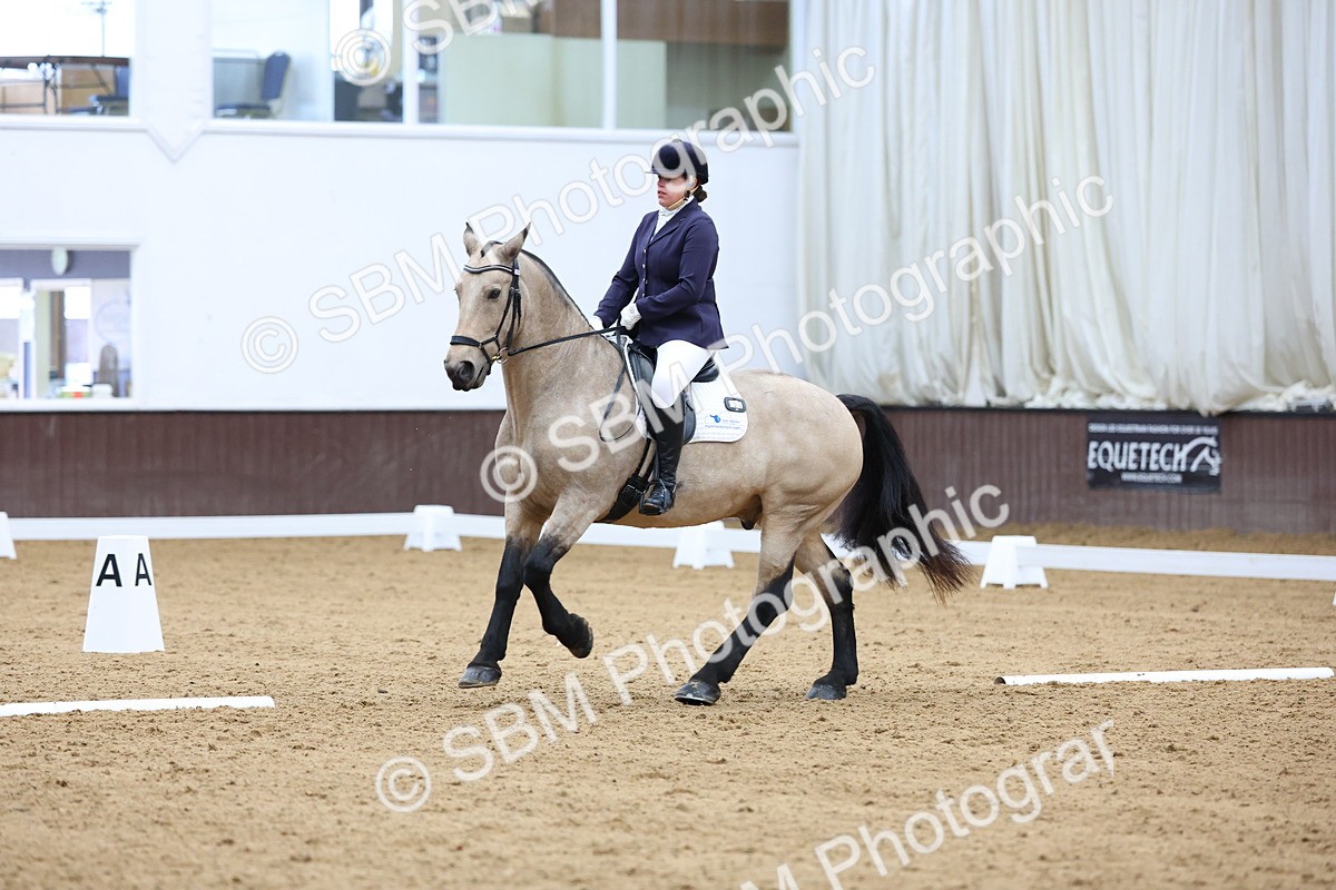 SBM_003869 - Elementary 1