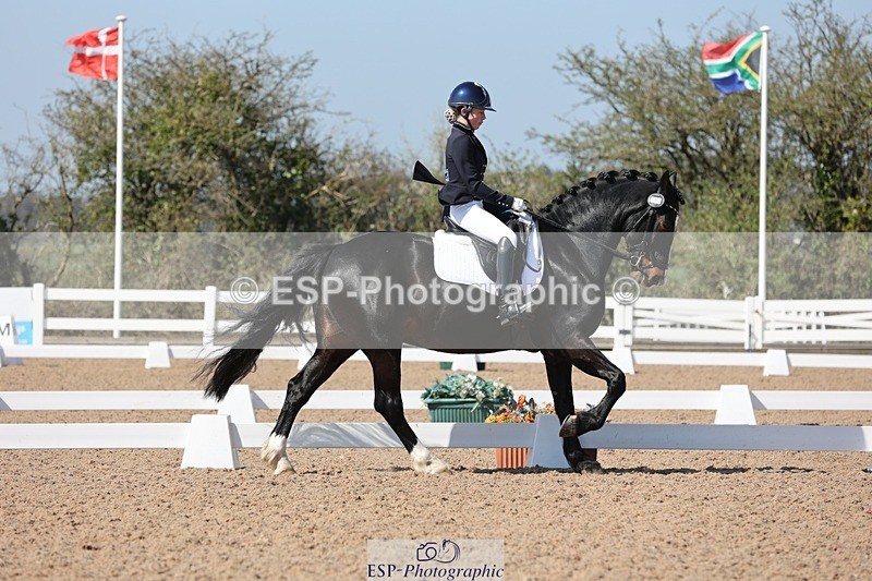 250405-120118-10300 - 111-Ever.Sinfield.Day-Machno.Excalibur