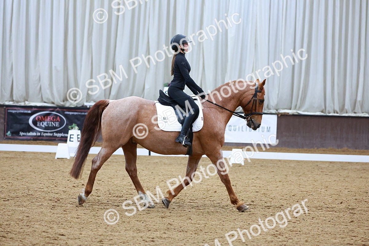1I0A0932 - Class 3-6 - Prelim 1-Novice 2
